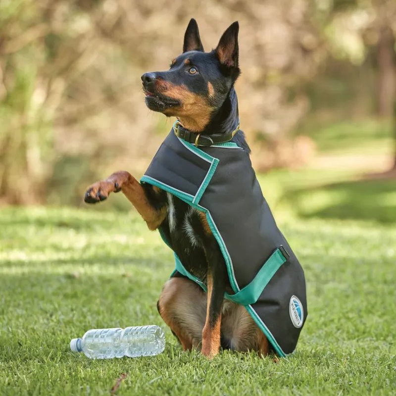 Weatherbeeta Green-Tec 900D Dog Coat Lite Plus Black-BottleGreen-4